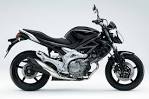 SUZUKI GLADIUS 2009