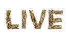 Image Live. Lettering by Gyongy Laky Picture