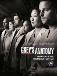 7° Temporada – Grey´s Anatomy Legendado HDTV RMVB
