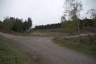50+ chimpanzees at nearby - via Daymix