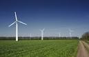 Learning about Green Investing and Green Stocks