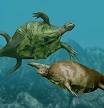 Turtle - Wikipedia, the free encyclopedia