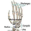 Osteoarthritis of the <b>Wrist Joint</b> | eorthopod.