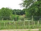 Amazona - glimpse through the fence. From car park off Hall Road. - via Daymix