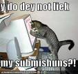 Lolcats