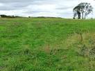 near to Pendas Fields, Leeds, Great Britain. More sizes. Field entrance full - via Daymix