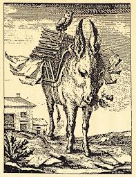 Somaro che trasporta libri