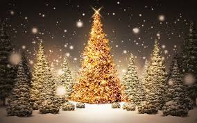 مجموعة صور لأجمل ـشجرة عيد الميلاد - صفحة 6 Images?q=tbn:ANd9GcSQJi9i34zrOqb14hvklDKSRaMkUE_k5gwzuMH93iU0KDPaN1kefA
