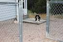 YOU UNDERSTAND I AM SHORTER, MY BELLY WILL GET WET TOO? - via Daymix