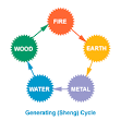 Five Element Acupuncture Theory and Clinical Applications | Yin ...