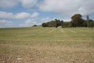 Tillage in County Wicklow. South of Ashford. - via Daymix