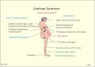 New Human Physiology Ch 30
