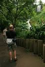 Humid Tropics Biome, Eden Project. A waterfall cascades through the biome, - via Daymix