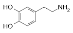 The Brain's Own Defense Mechanism Against Drugs | Medicine Daily