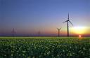 100% Renewable: “O’Farrell’s renewable energy credibility on the line”