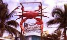 Fresh Seafood, Live Crabs, Shrimp Dinners, Ms. Apples Crab Shack ...