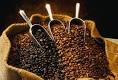 Coffee Beans (Robusta, Excelsa, Liberica and Arabica products, buy ...
