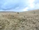 This circle of small stones and one large one are on a hill at the side of - via Daymix
