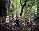 READING | AncienTrails