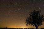 The 2006 Geminid METEOR SHOWER - NASA Science