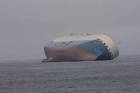 Cargo ship aground public - via Daymix