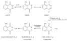 Luminol - Wikipedia, the free encyclopedia