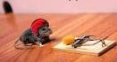 prendre des risques pronunciation