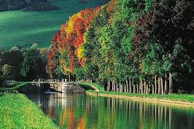 premierfrenchleaseback.com