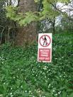 Keep out ! A stern warning amongst the wild garlic on this unusual firing - via Daymix