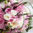 List of Flowers