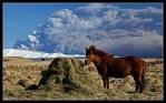 Iceland 17.4.2010 by Chevi - via Daymix