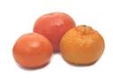 Cook's Thesaurus: Citrus Fruit