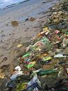 Marine litter has a large