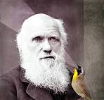 Happy Birds: Darwin on Avian Song - Vol. 1, No. 3 – The Appendix - Darwin1new