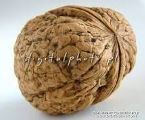 http://t1.gstatic.com/images?q=tbn:ANd9GcSTfBAdZD-bpNj2g6Kumv-wOSBBX_OG8gasmztsbKJEGRiLPql_HFQWuoZu