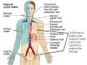 Lymph Node Locations - Neck, Groin, Ear, Diagram, Pictures ...