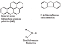 Ejemplos de <b>carcinógenos</b>.