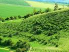 SU1163 : Landform near Alton - via Daymix