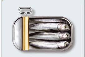 images?q=tbn:ANd9GcSUFqArd6acfk6z6DAAoFYi0TtfxM7-zgUB62Xx0syyBmnD2Zby