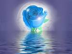 3D – Love Rose Blue | Wallpapermagz