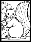 Squirrel coloring page