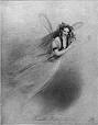 Ariel (The Tempest) - Wikipedia, the free encyclopedia