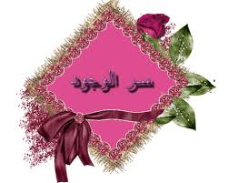 انيقات
