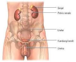[Image: images?q=tbn:ANd9GcSUu9eUvJaq3E7f8e3RgBc...NhnkKlw-8=]