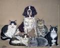 Custom Cat Portraits - Multiple Pet Portrait (Dog and Cats ...