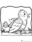 Sparrow coloring page