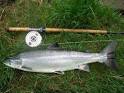 Holiday Cottage Fife Scotland  Fishing near Newburgh Fife Scotland