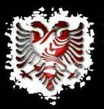 shqiponja foto