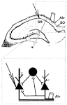 A Pharmacological Model for Psychosis Based on N-methyl-D ... 