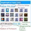 Follow the Poptropica Creators Blog     Poptropica Help Blog